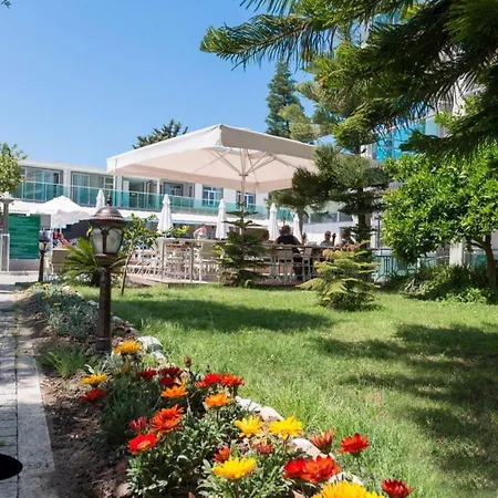 Clover Magic Altinkum Park
